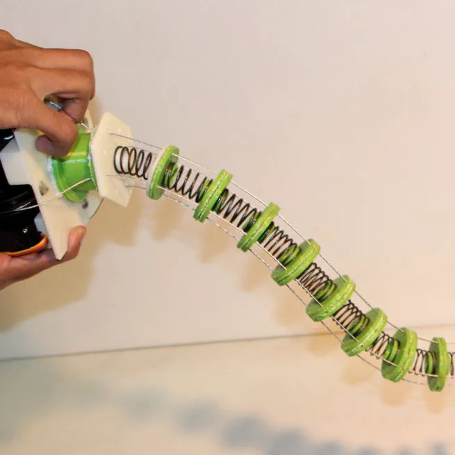 Modeling and Validation of New Continuum Robot Backbone Design With Variable Stiffness Inspired from Elephant Trunk